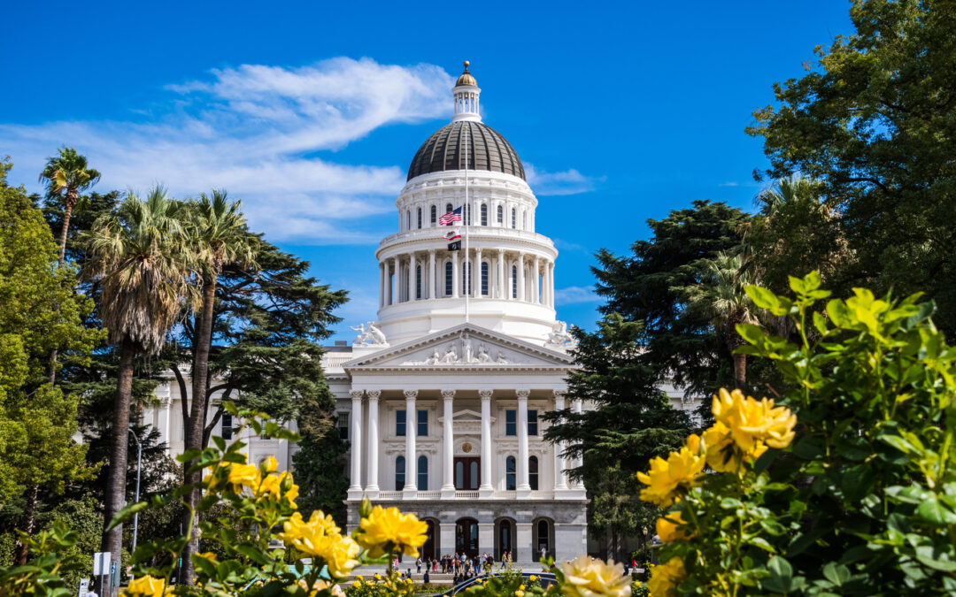 California Republicans Poised to Gain Seats in State Senate & Assembly