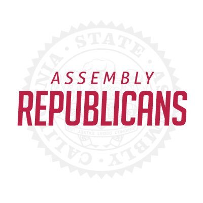 The Faces of Change: California Assembly GOP Class of 2025